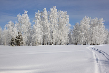 Similar image 22268987