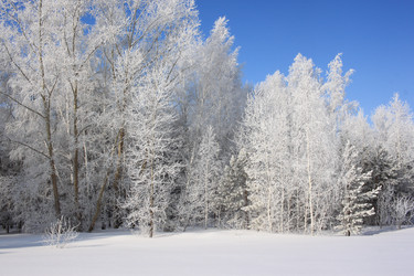 Similar image 22268988