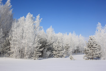 Similar image 22268989