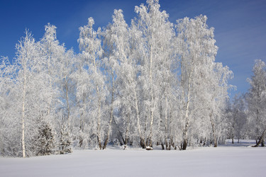 Similar image 22268990