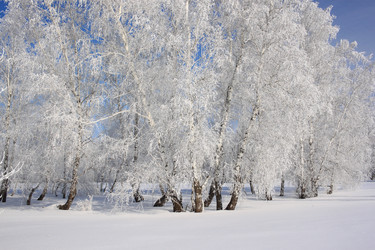 Similar image 22268992