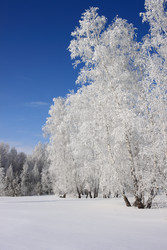 Similar image 22268993