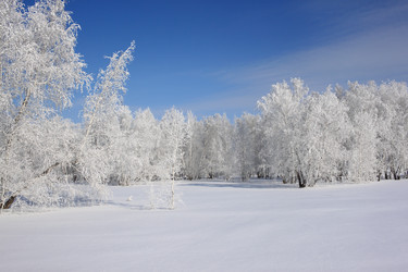 Similar image 22268994