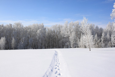 Similar image 22268996