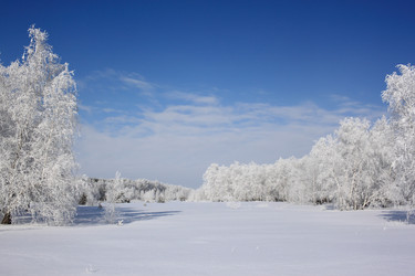 Similar image 22268997