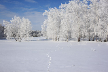 Similar image 22268998