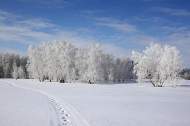 Similar image 22268999