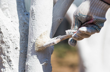 Similar image 22273865