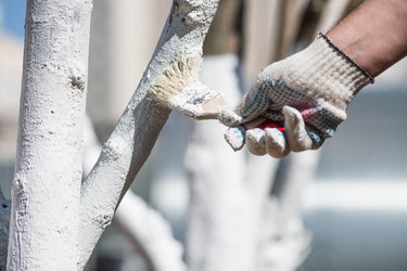 Similar image 22273866