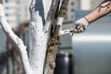 Similar image 22273867