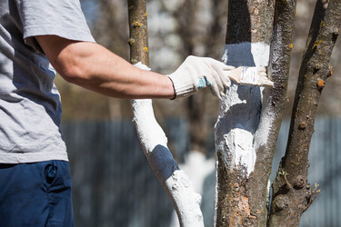 Similar image 22273868