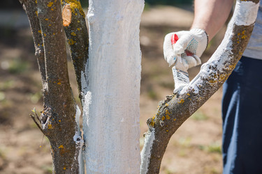 Similar image 22273870