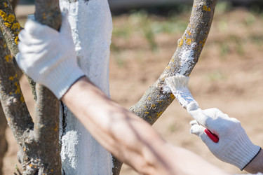 Similar image 22273871