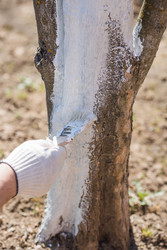 Similar image 22273873