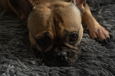 Similar image 22269005