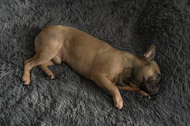 Similar image 22269006