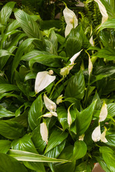 Similar image 22269009