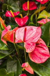 Similar image 22269011