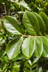 Similar image 22269012