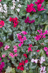 Similar image 22269015