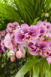 Similar image 22269016