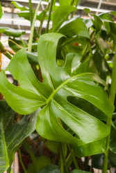 Similar image 22269017