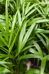 Similar image 22269018