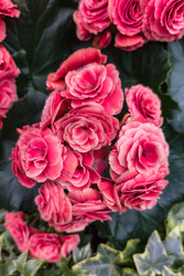 Similar image 22269019