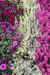 Similar image 22269020