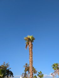 Similar image 22269022