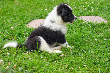 Similar image 22274657