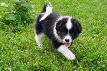 Similar image 22274658