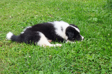 Similar image 22274659