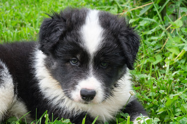 Similar image 22274660