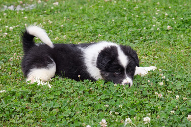 Similar image 22274661