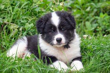 Similar image 22274662