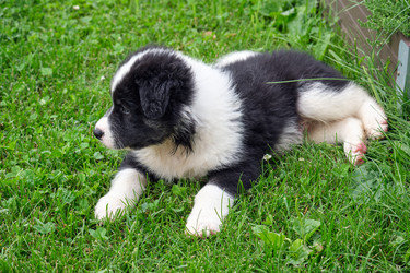 Similar image 22274663