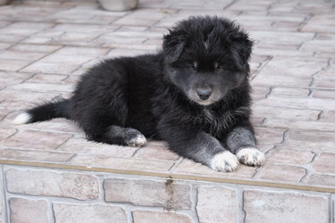 Similar image 22274669