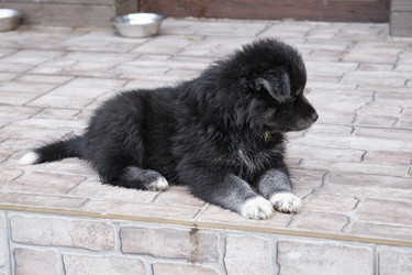 Similar image 22274670