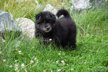 Similar image 22274671