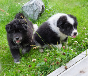 Similar image 22274672