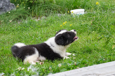 Similar image 22274673