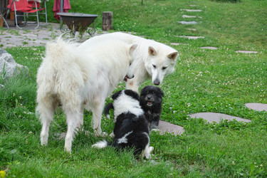 Similar image 22274675