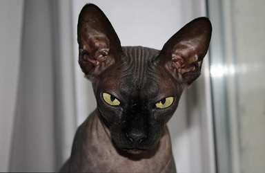 Similar image 22268689