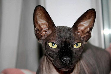 Similar image 22268690