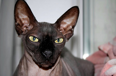 Similar image 22268691