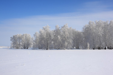 Similar image 22269035