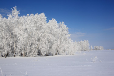 Similar image 22269036