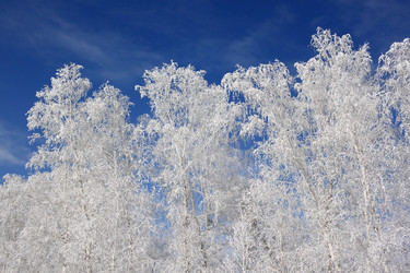 Similar image 22269037