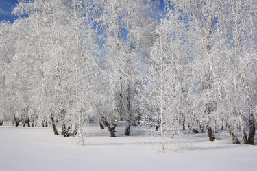 Similar image 22269038